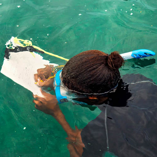 赛尔凡娜•安塔特是塞舌尔国家公园管理局海洋研究员，在塞舌尔周边海域的珊瑚礁绘图方面发挥着主导作用。世界各地的妇女在保护工作中的领导地位往往不为公众所知晓。联合国妇女署图片/Ryan Brown 