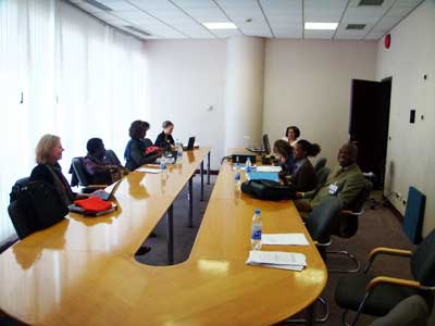 The working group on harmful practices related to marriage